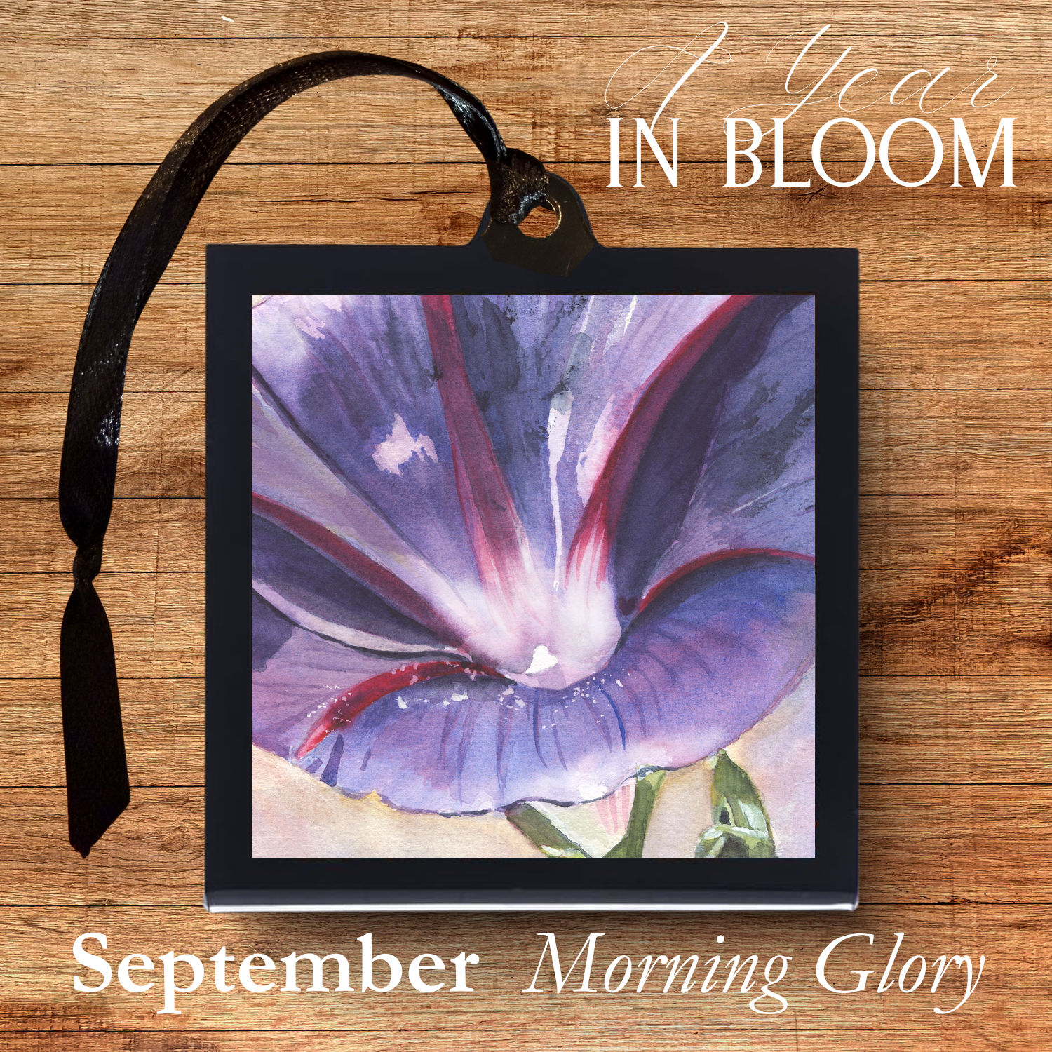 Framed artwork of a purple flower with '1 Year in Bloom' text on a wooden background