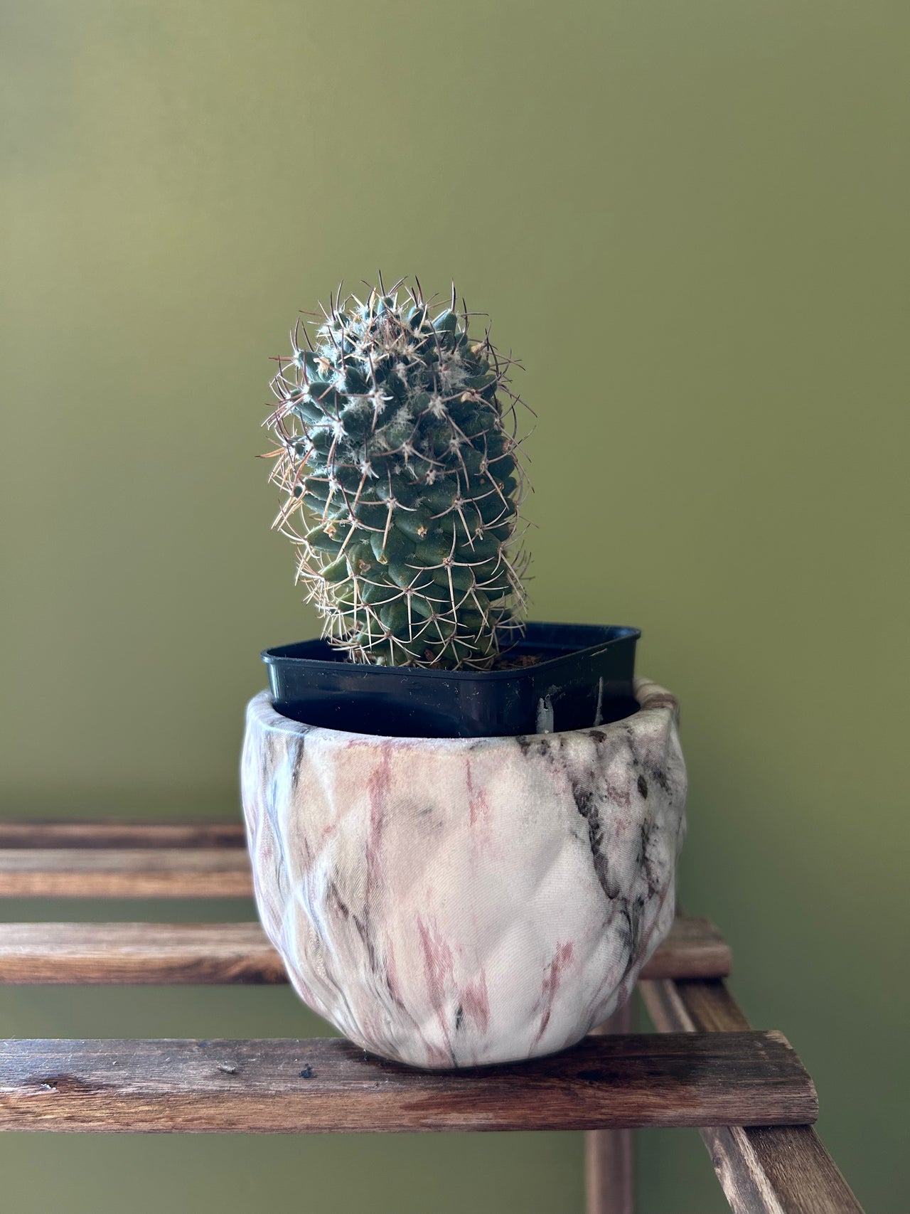 Cactus in a marble-patterned pot on a wooden surface with a green background