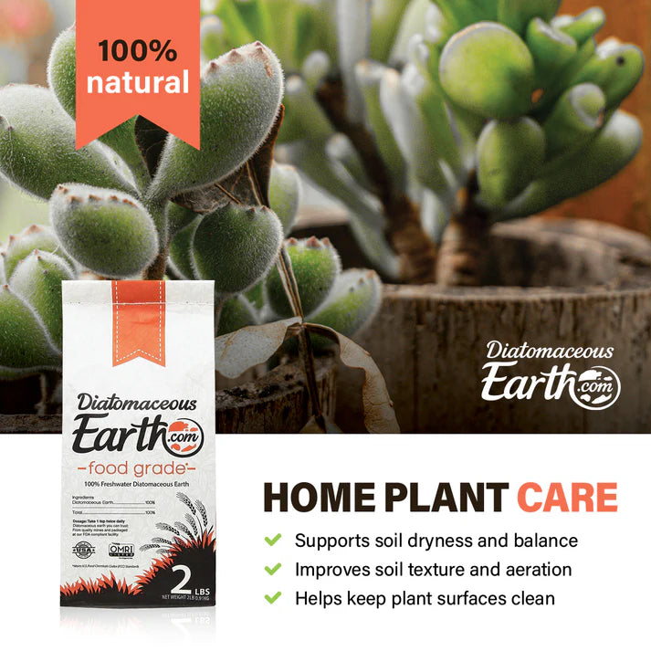 Diatomaceous Earth product packaging with text on home plant care against a background of plants.