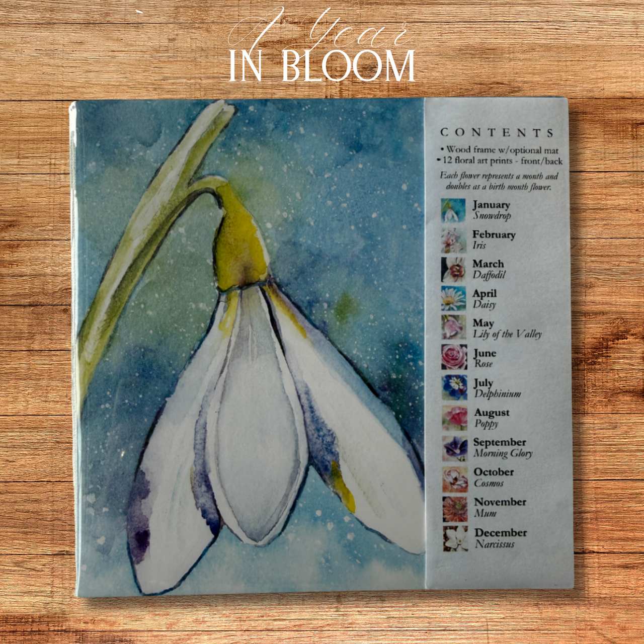 Watercolors by Tina - Framed Art Set