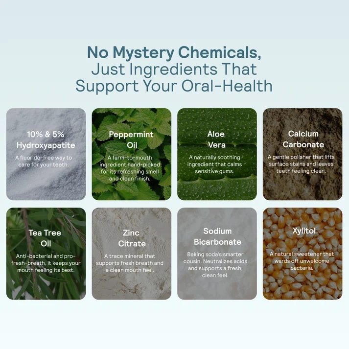 An informational graphic with the headline 'No Mystery Chemicals, Just Ingredients That Support Your Oral-Health' above a grid of eight ingredient panels. The panels show and name ingredients including 10% & 5% Hydroxyapatite, Peppermint Oil, Aloe Vera, Calcium Carbonate, Tea Tree Oil, Zinc Citrate, Sodium Bicarbonate, and Xylitol, each with a small product photo and descriptive text on a pale blue background.