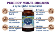 Bottle of 'Perfect Multi-Organs' supplement with labeled organs and benefits on a white background