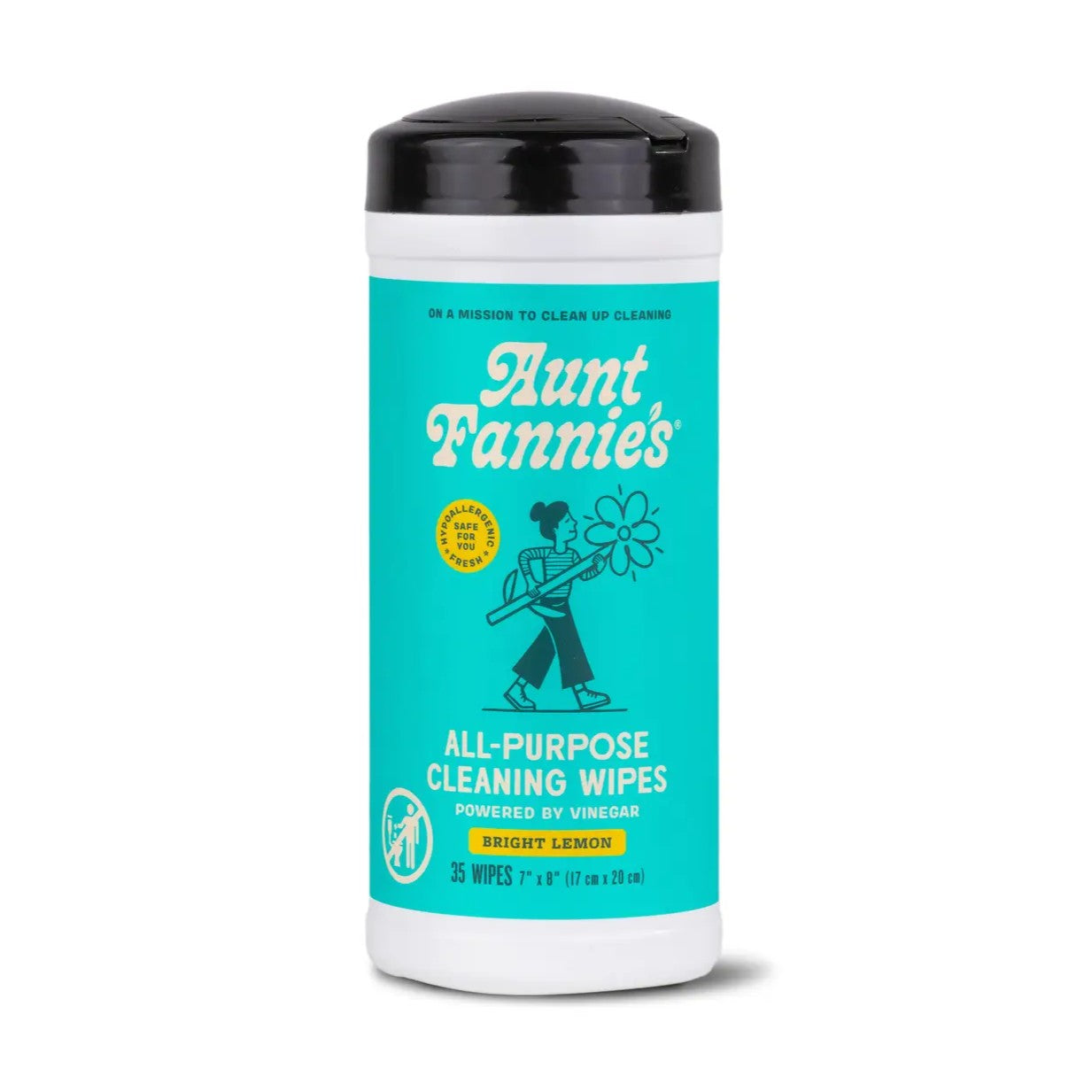 Aunt Fannie's all-purpose cleaning wipes container on a white background