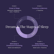 Diagram of the stages of sleep with corresponding neurotransmitters on a dark background