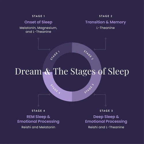 Diagram of the stages of sleep with corresponding neurotransmitters on a dark background
