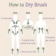 Diagram showing how to dry brush different parts of the body with Earthley Wellness branding.