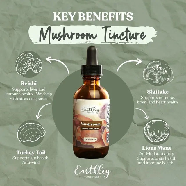 Mushroom tincture bottle with key benefits on a green background