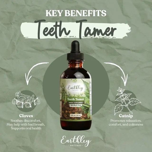 Earthley Wellness Teeth Tamer supplement bottle with key benefits on a green background