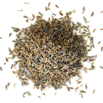 Rise Apothecary Dry lavender flowers on a white background