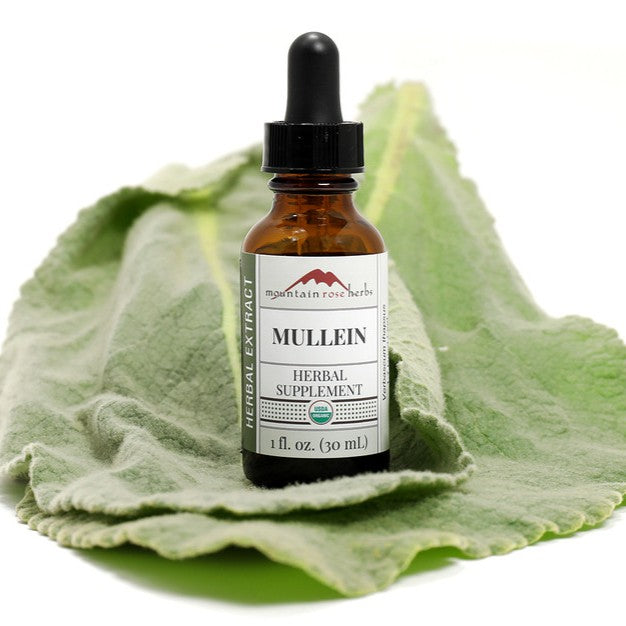 Bottle of Mullein herbal supplement on a green leaf with a white background