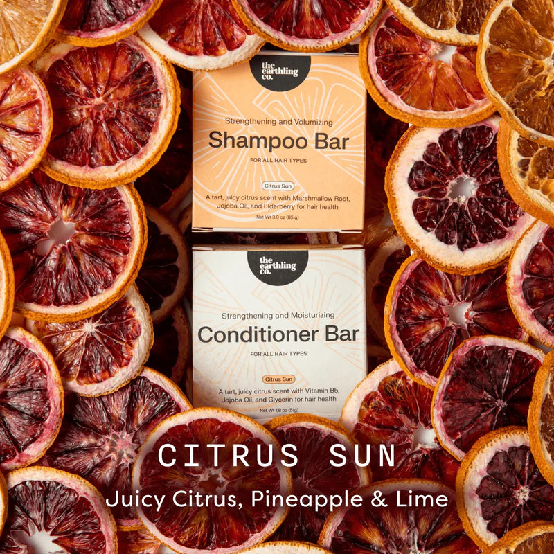 Two boxed hair care bars from The Earthling Co are centered against a background of dried citrus slices. The top box reads Shampoo Bar and is peach-toned, while the bottom box reads Conditioner Bar and is cream-toned.